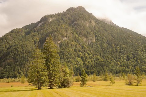 Ettaler Weidemoos, moss, wetland biotope, Oberammergau, Catholic, Ammergau, Ammergau Alps, Upper