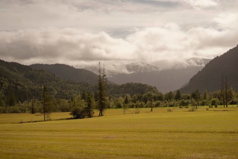 Ettaler Weidemoos, moss, wetland biotope, Oberammergau, Catholic, Ammergau, Ammergau Alps, Upper