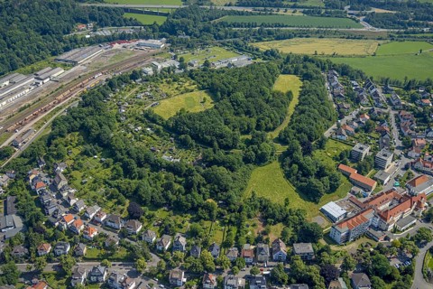 Aerial view, Lüsenberg with allotment garden site, Arnsberg, Sauerland, North Rhine-Westphalia,