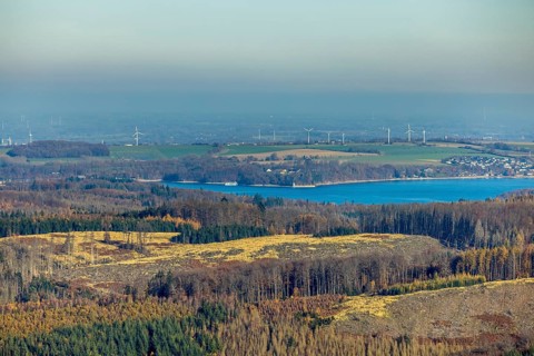 Aerial view, forest area with forest damage and view to the Möhnesee - Hevesee in the district