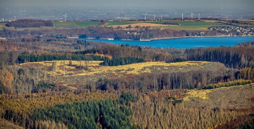 Aerial view, forest area with forest damage and view to the Möhnesee - Hevesee in the district