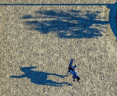 Aerial view, riding training at the riding centre Zucht-Reit und Fahrverein e.V. in the district