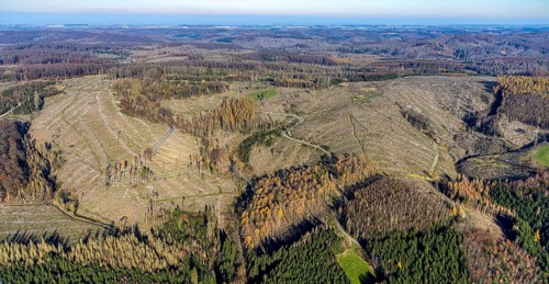 Aerial view, forest area with forest damage Arnsberg forest area with forest damage in the district