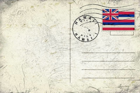 Hawaii Hilo Round Seal Map Design