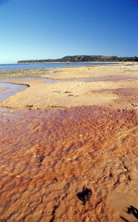 River, beach, Caraíva, Bahia - Brazil