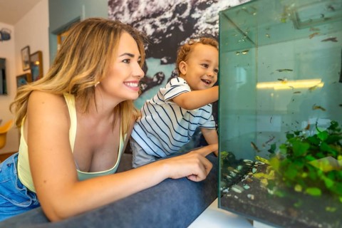 Happy mother and son watching colorful fish swimming in a modern, glass aquarium, enjoying a