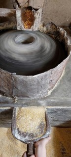 Water mill for grinding corn, Mill Stone, Making corn flour, Minas Gerais, Brazil