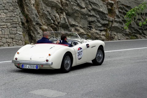 No. 307, Austin Healey 100 4 BN1, year of construction 1954, white retro convertible driving on a