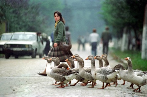 Romania, Jui Valley, 17.09.1991 Scene in a mining region. A girl and a flock of geese cross the
