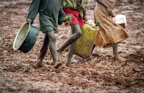TZA Tanzania scene in the Benaco Camp refugee camp, to which up to 500, 000 Rwandan Tutsis fled the