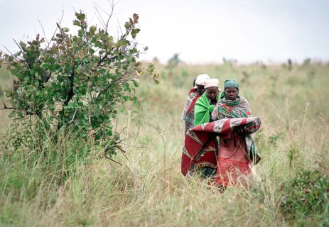 TZA Tanzania scene in the Benaco Camp refugee camp, to which up to 500, 000 Rwandan Tutsis fled the