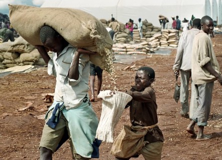 TZA Tanzania scene in the Benaco Camp refugee camp, to which up to 500, 000 Rwandan Tutsis fled the