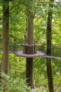 Wooden platform floating between tall trees in the forest, Treewalk, Affenberg Salem,