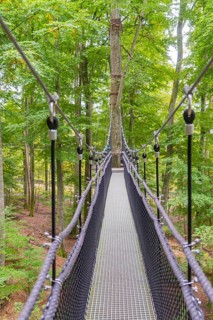 Narrow suspension bridge over treetops in the forest, Treewalk, Affenberg Salem, Bodenseekreis,