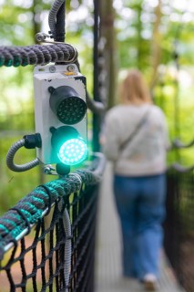 Green signal light for a woman on the treewalk, Affenberg Salem, Bodenseekreis, Germany
