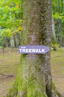 Guide to a treetop trail in the forest, Treewalk, Affenberg Salem, Bodenseekreis, Germany