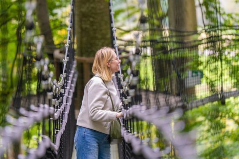Woman on a rope bridge in the forest, surrounded by trees, Treewalk, Affenberg Salem,