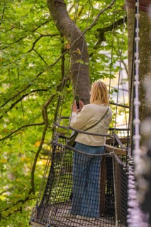 Woman on a platform in the treetops of a forest, Treewalk, Affenberg Salem, Bodenseekreis, Germany