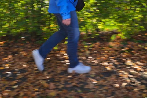 Person, woman, walks on sidewalk full of autumn leaves, autumn, leaves lying on sidewalk, movement