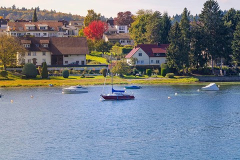 Seascape with colorful shore and various boats, boat trip, Lake Constance, Germany