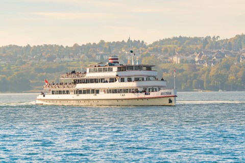 Large passenger ship on a lake with city and nature in the background, boat trip, Lake Constance,