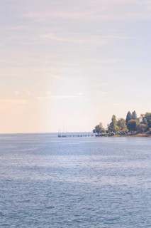 View over calm water on a wooded coast with a pier, boat trip, Lake Constance, Germany