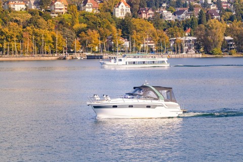 Motor boat on a lake near a wooded coast with houses, boat trip, Lake Constance, Germany