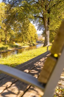 Wooden bench overlooking a river in an autumn park, sunbeams through the trees, Nagold, Black