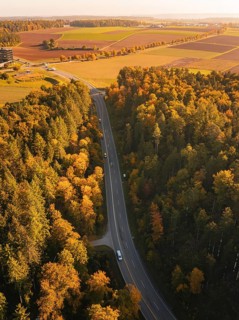 A winding road through an autumnal forest at dusk with soft light, Nagold, Black Forest, Germany