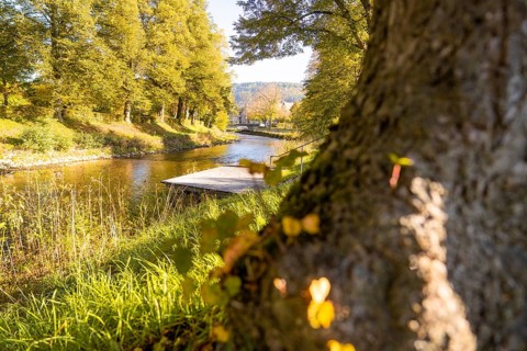 Close-up view of a tree on the riverbank with autumnal foliage and footbridge, Nagold, Black