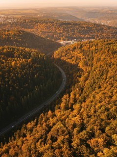 A deep gorge with thick tree vegetation in autumn and a road that snakes through it, Nagold, Black