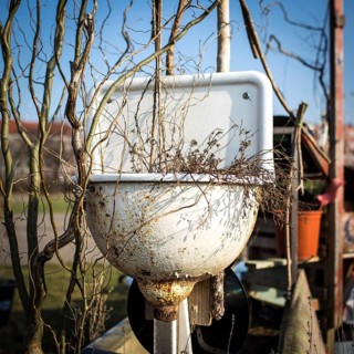 DEU Germany Germany Berlin Scenes of raised bed gardens on the site of the former Tempelhof airport