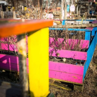 DEU Germany Germany Berlin Scenes of raised bed gardens on the site of the former Tempelhof airport