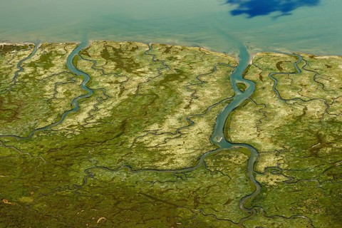 Ostheller, salt marshes with Prilen, Wadden Sea, aerial view, Norderney, North Sea, North Sea
