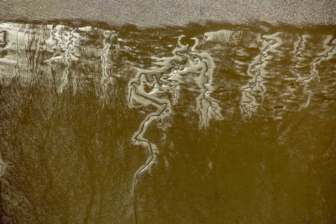 Elbe, tidal flats at low tide on an island in the Elbe near Wedel and Jork, Wedel, Lower Saxony,