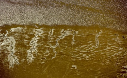 Elbe, tidal flats at low tide on an island in the Elbe near Wedel and Jork, Wedel, Lower Saxony,