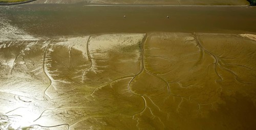 Elbe, tidal flats at low tide on an island in the Elbe near Wedel and Jork, Wedel, Lower Saxony,