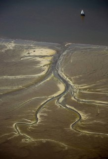 Elbe, tidal flats at low tide on an island in the Elbe near Wedel and Jork, Wedel, Lower Saxony,