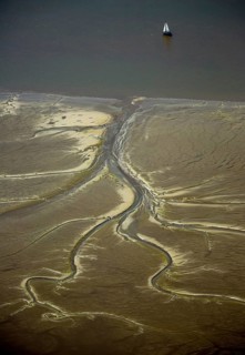 Elbe, tidal flats at low tide on an island in the Elbe near Wedel and Jork, Wedel, Lower Saxony,