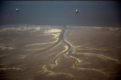 Elbe, tidal flats at low tide on an island in the Elbe near Wedel and Jork, Wedel, Lower Saxony,