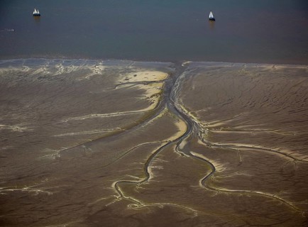 Elbe, tidal flats at low tide on an island in the Elbe near Wedel and Jork, Wedel, Lower Saxony,
