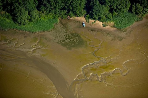 Elbe, tidal flats at low tide on an island in the Elbe near Wedel and Jork with motorboat running