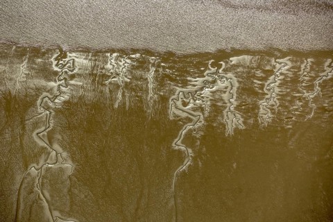 Elbe, tidal flats at low tide on an island in the Elbe near Wedel and Jork, Wedel, Lower Saxony,