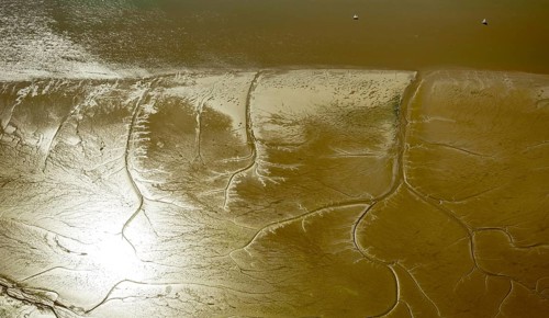 Elbe, tidal flats at low tide on an island in the Elbe near Wedel and Jork, Wedel, Lower Saxony,