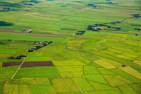 Fields in the polder land, drainage ditches in the marshes, green landscape, Bunde unified