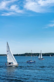 Sailboats on Kiel Fjord, Kiel, Holtenau district, Baltic Sea, wind, baluer sky, shore, forest,