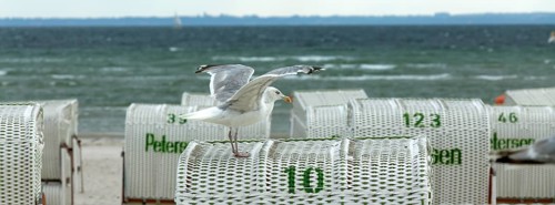 Jetty with beach chairs, seagull, Grömitz, Baltic Sea, Schleswig-Holstein, Germany, Europe, aerial