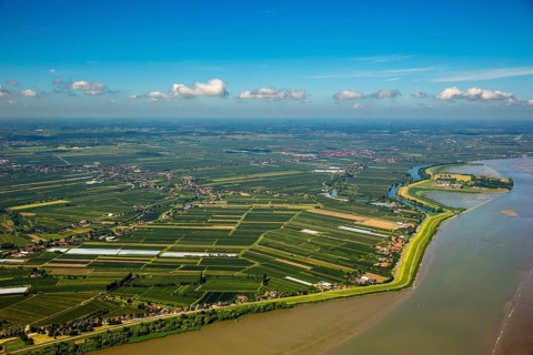 Finkenwerder, Altes Land, orchards, Hamburg, Free and Hanseatic City of Hamburg, Germany, Europe,