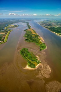 Elbe, tidal flats at low tide on an island in the Elbe near Wedel and Jork, Wedel, Lower Saxony,