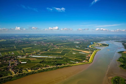 Finkenwerder, Altes Land, orchards, Hamburg, Free and Hanseatic City of Hamburg, Germany, Europe,